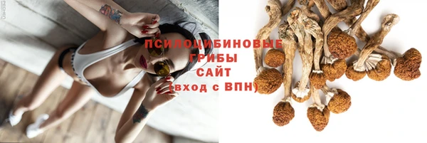 героин Алзамай