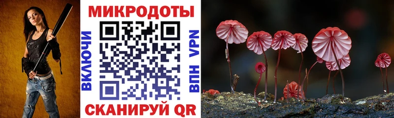 купить наркоту  даркнет официальный сайт  Псилоцибиновые грибы ЛСД  Каргат 
