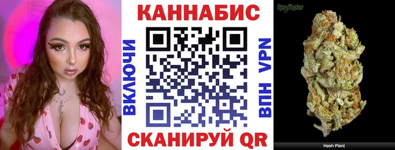 Бошки Шишки MAZAR  где купить наркоту  Каргат 